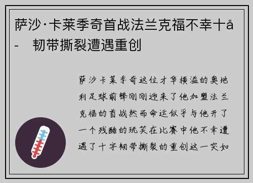 萨沙·卡莱季奇首战法兰克福不幸十字韧带撕裂遭遇重创